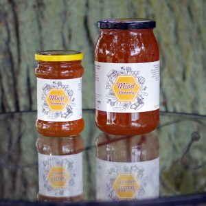 Miód klonowy - Pasieka Pisańskich